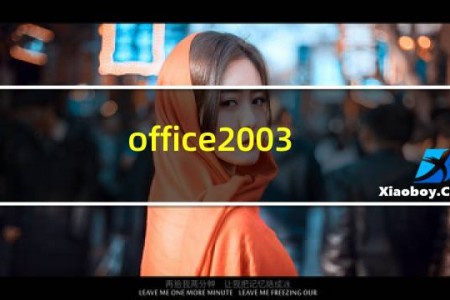 office2003 win10