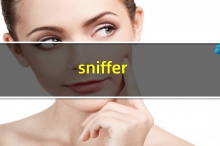 sniffer win10