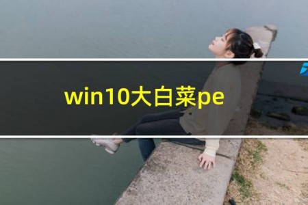win10大白菜pe