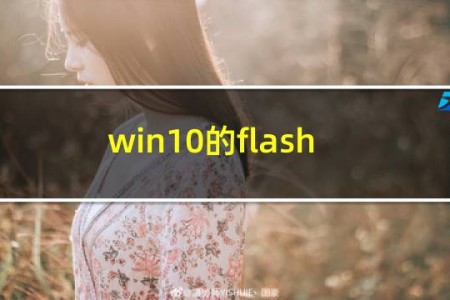 win10的flash