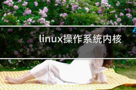 linux操作系统内核
